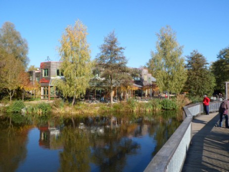 Otterzentrum bei Gifhorn